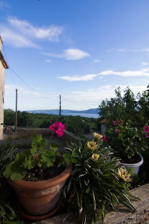 Apartment Magdic Brzac 0*,  Croatia
